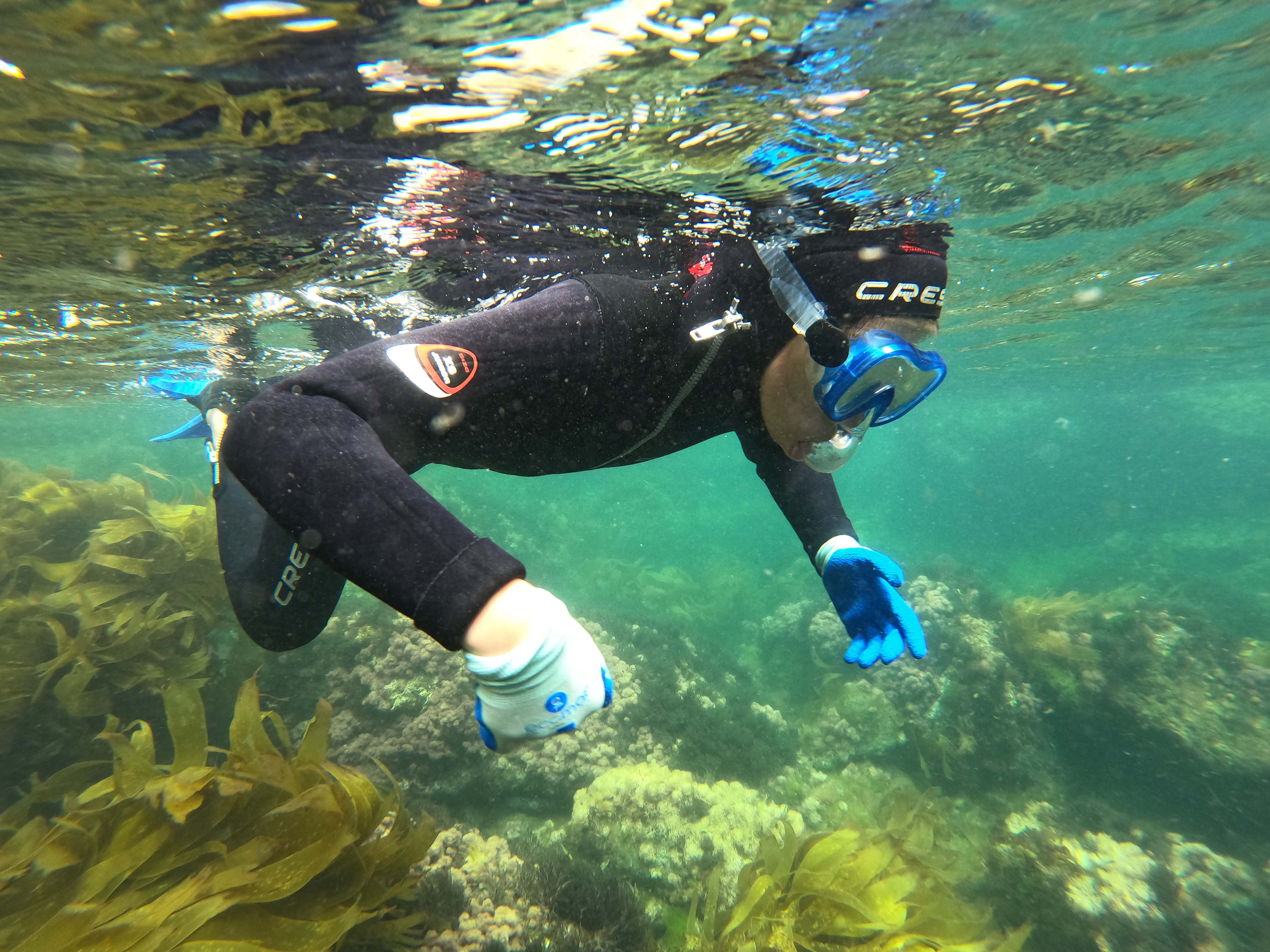 Snorkel y pesca en Luanco
